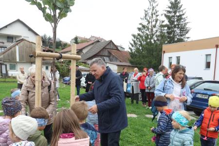 Posaditev  rožnatega drevesa v Pocinovem vrtu 16 Foto Ljubo Vukelič